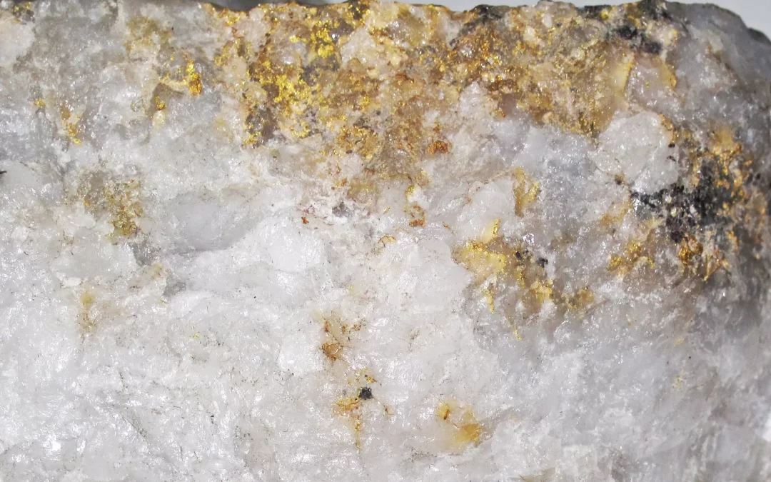 Introducing Our New Website